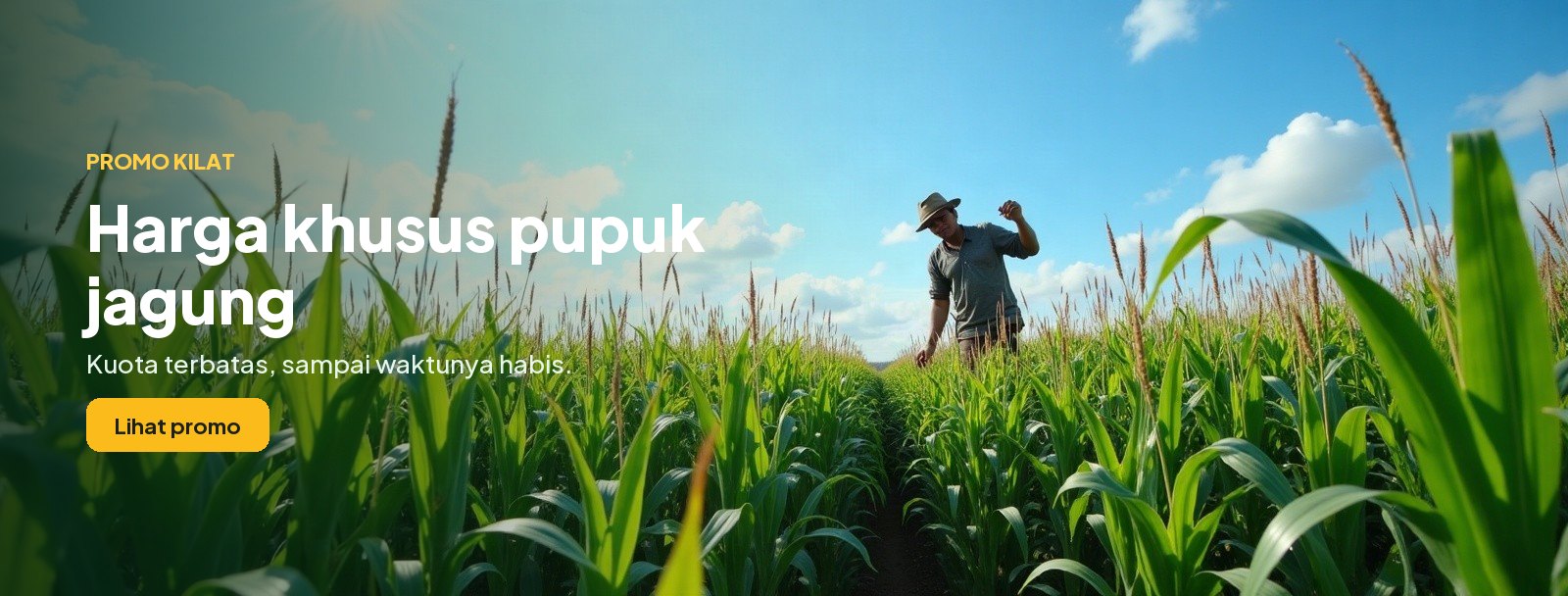 Promo kilat: harga khusus pupuk jagung